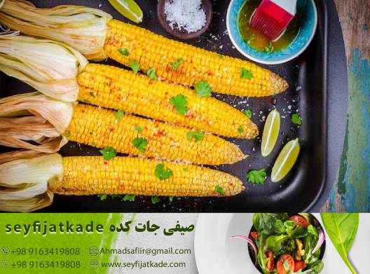 طعم طبیعت در بسته بندی شیک
