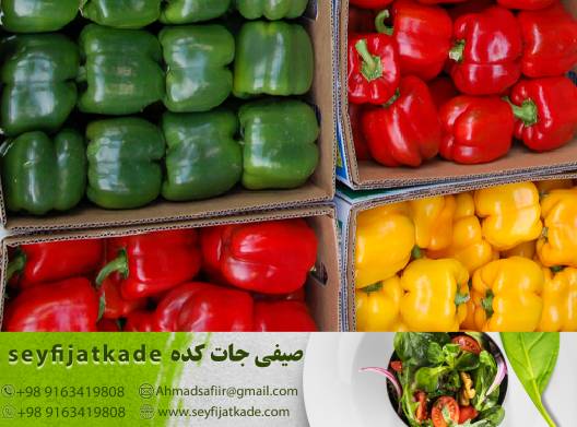 افزایش درآمد با کشت فلفل دلمه ای در گلخانه