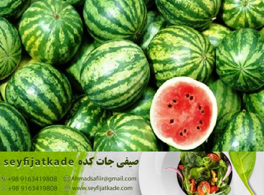 ارائه هندوانه با تضمین کیفیت