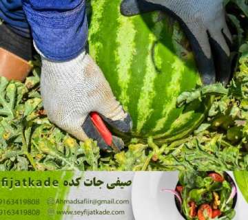 انتخاب ایده‌آل برای سلامتی