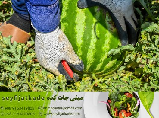 انتخاب ایده‌آل برای سلامتی