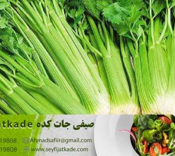 خرید و قیمت کرفس تازه