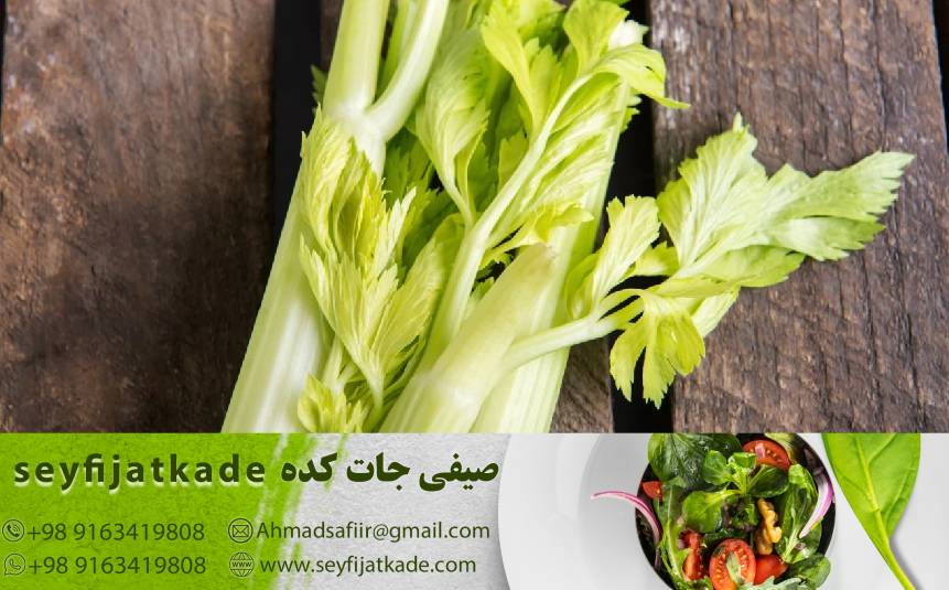 چگونه این سبزیجات کم کالری به عنوان یک بخش مهم در رژیم‌های لاغری موثر هستند؟