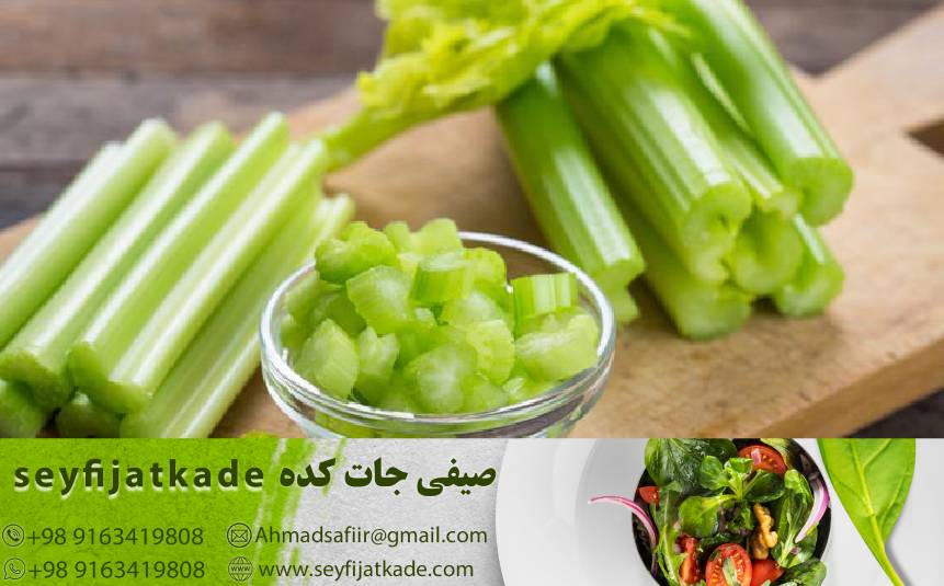 معیارهای کیفیت در خرید و فروش کرفس عمده: ارتقاء کیفیت و جلب مشتریان