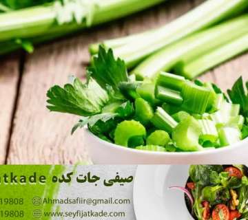 خرید و قیمت بهترین انواع کرفس