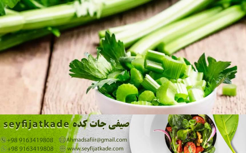 خرید و قیمت بهترین انواع کرفس