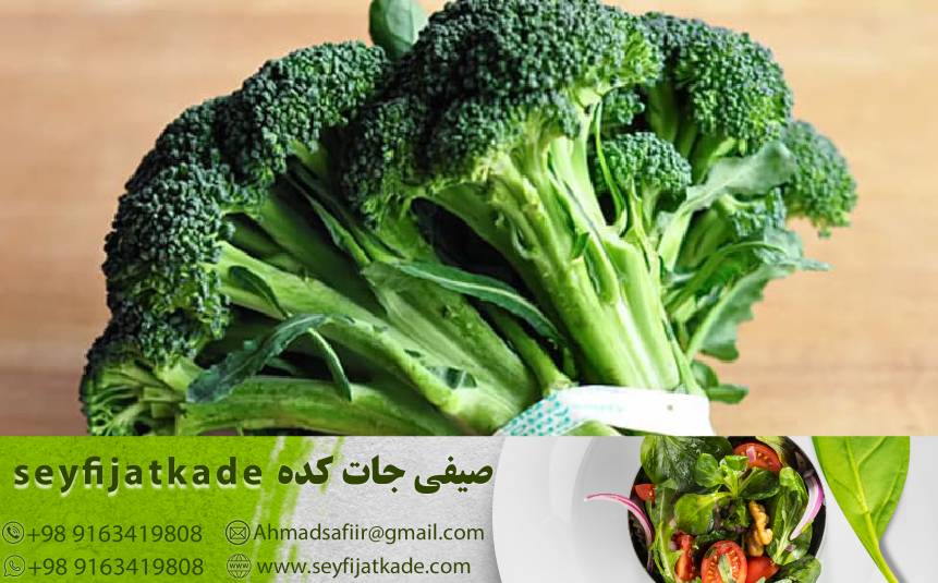 خرید پر فروش ترین انواع کلم بروکلی با بهترین قیمت