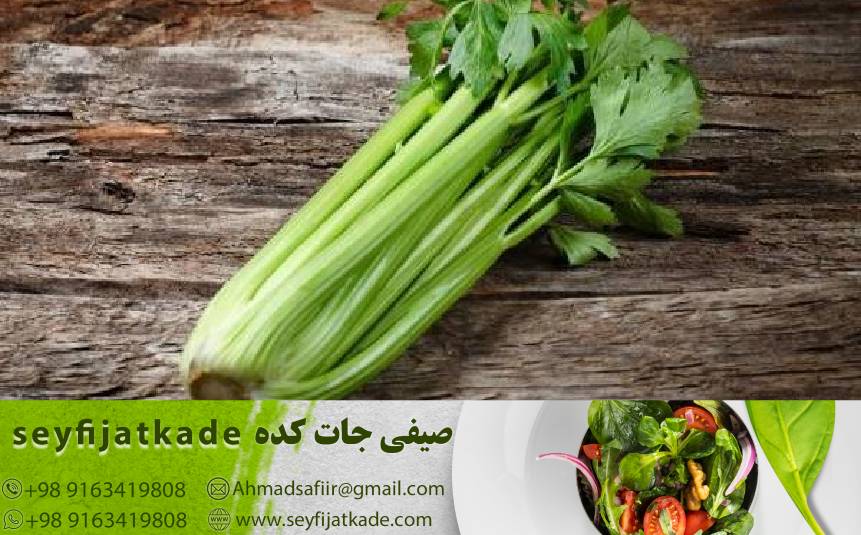 تحلیل بازار: راهی برای پیش‌بینی بهترین زمان خرید و فروش کرفس عمده