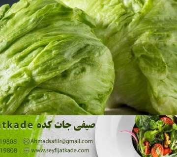 خرید و قیمت کاهو ایسبرگ