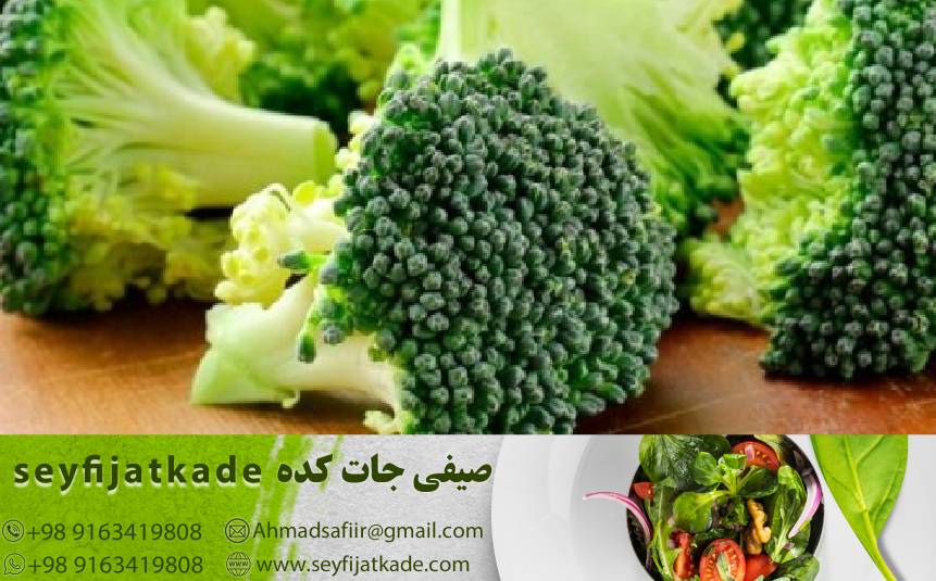 راهکارهای بهینه‌سازی زنجیره تأمین در خرید عمده کلم بروکلی