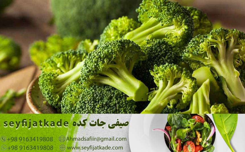 خرید عمده کلم بروکلی: اهمیت انتخاب تأمین‌کنندگان معتبر و کیفیت برتر