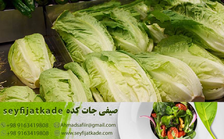 تازه ترین و خوشمزه‌ترین کاهو ایسبرگ را چگونه انتخاب کنیم؟