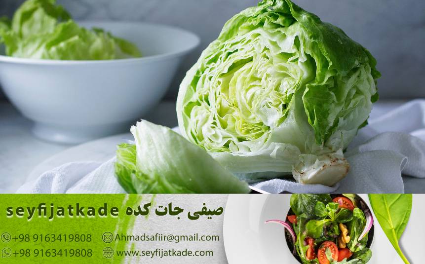 خواص ویتامین C در کاهو ایسبرگ