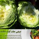 ارزش غذایی کاهو ایسبرگ