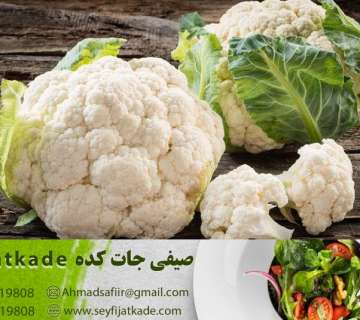 خرید گل کلم صادراتی