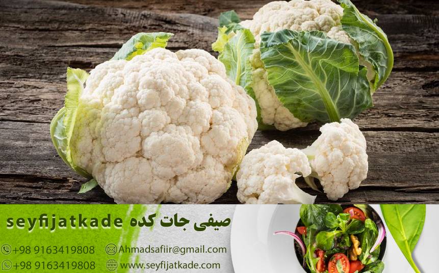 خرید گل کلم صادراتی