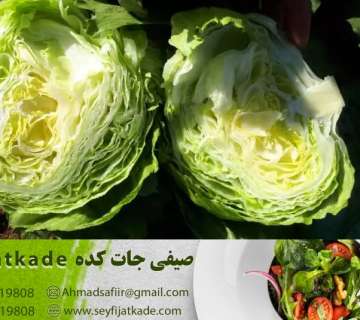 ارزش غذایی کاهو ایسبرگ