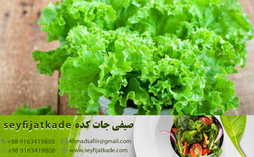 گزینه‌ای موثر برای مقابله با آسیب‌های اکسیداتیو