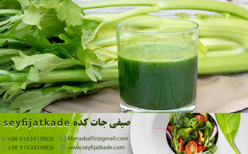 کرفس و فشار خون: چگونه مواد معدنی و فیتوشیمیکال‌های موجود در کرفس به بهبود سلامت قلب و عروق کمک می‌کنند؟