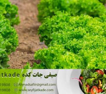 نقش پتاسیم، منگنز، و مس در سلامت عمومی با مصرف کاهو ایسبرگ