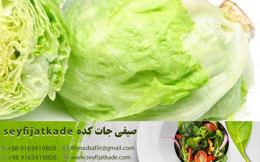 کاهو ایسبرگ: منبع غنی ویتامین C برای تقویت سیستم ایمنی