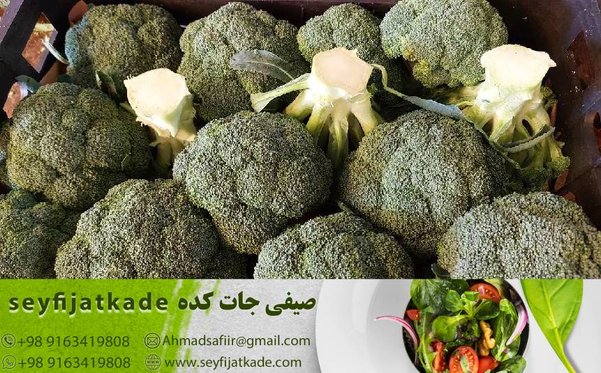 vتوسعه کسب و کار با کلم بروکلی: راهنمایی برای ورود به بازارهای جهانی