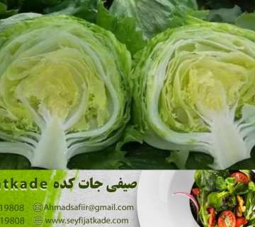 آنتیاکسیدانها: گزینه سلامت برای مقابله با آزادهای رادیکال