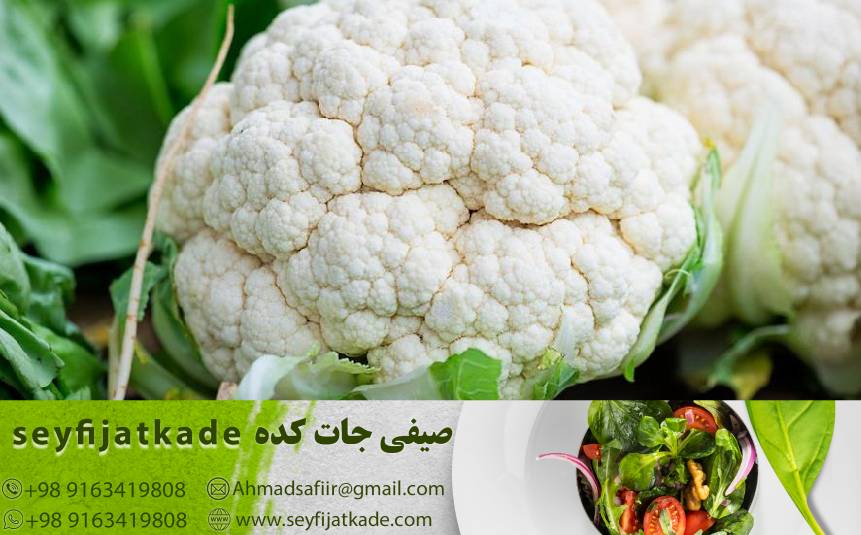 نکات حیاتی برای مدیریت عرضه و تقاضا در بازار گل کلم