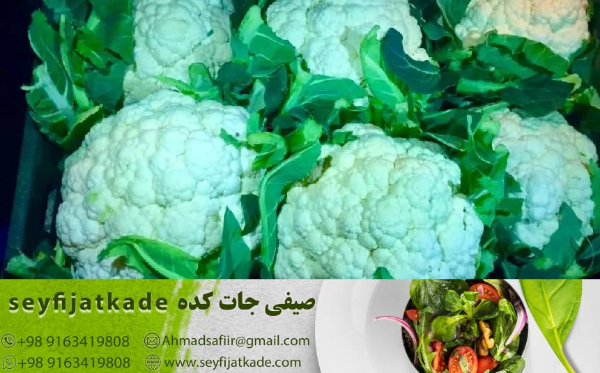راهکارهای مدیریت ریسک در خرید گل کلم صادراتی: مقابله با چالش‌های تجاری بین‌المللی