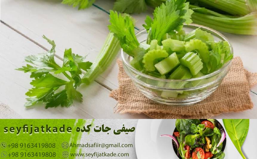 نکات حرفه‌ای برای خرید کرفس با کیفیت