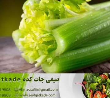 خرید و فروش کرفس عمده _ بهترین قیمت روز