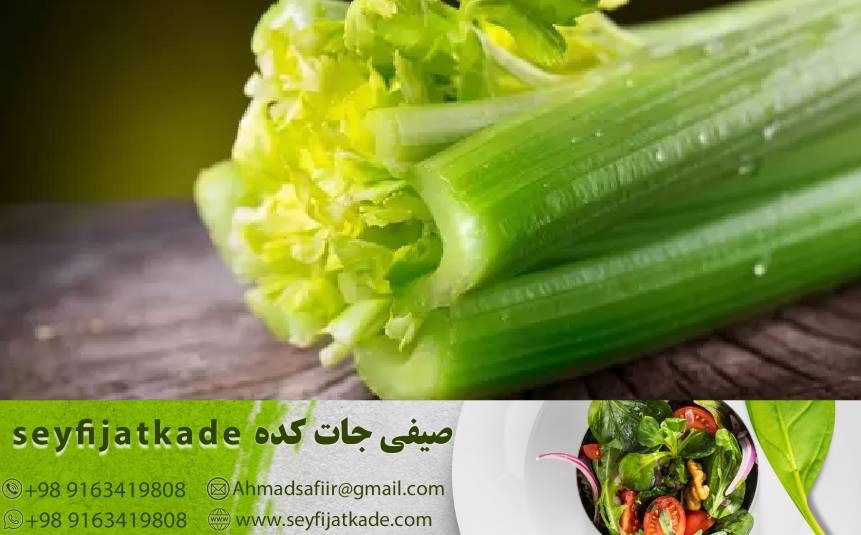 خرید و فروش کرفس عمده _ بهترین قیمت روز