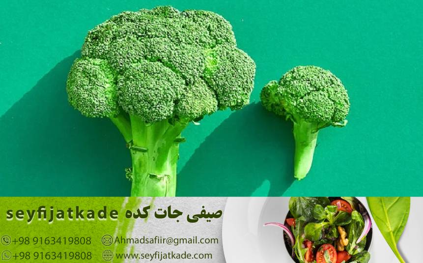 تازه‌ترین تحقیقات: کلم بروکلی محبوب با تخفیفات ویژه