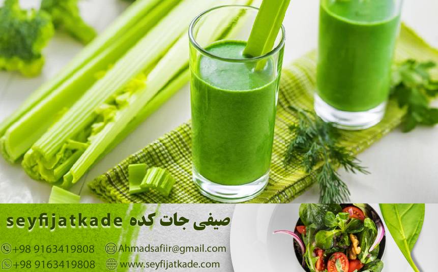 راهکارهای موفق برای خرید کرفس عمده با بهترین قیمت روز