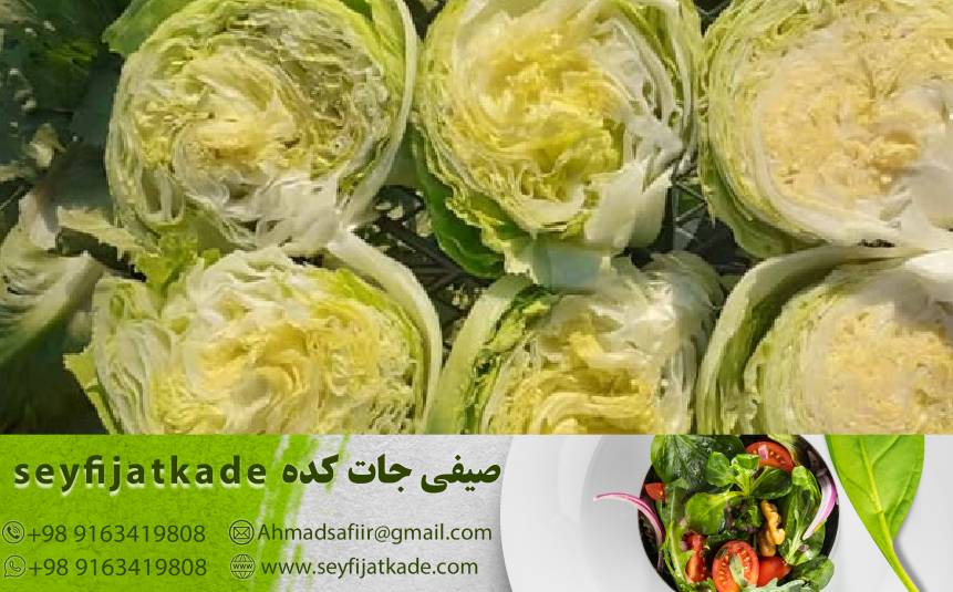 خرید و قیمت کاهو ایسبرگ صادراتی عمده