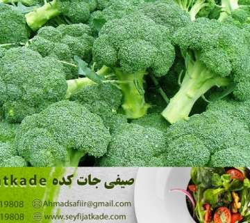 خرید عمده کلم بروکلی