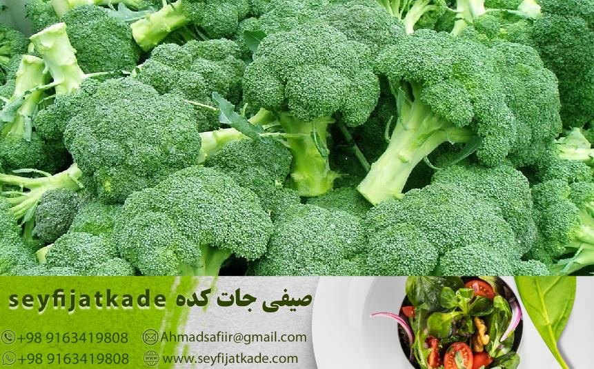 خرید عمده کلم بروکلی