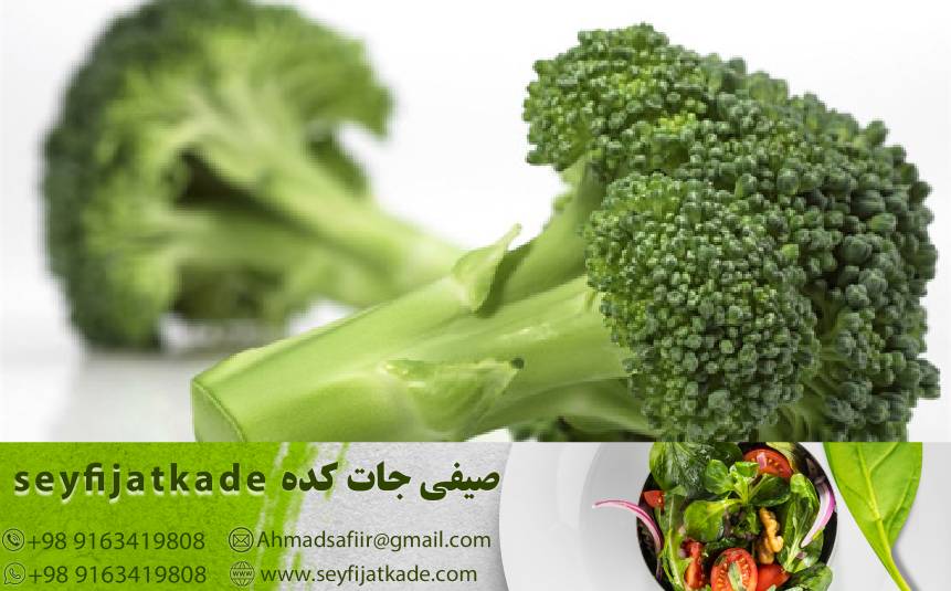 کشف کنید: پنج پر فروش‌ترین نوع کلم بروکلی با بهترین قیمت