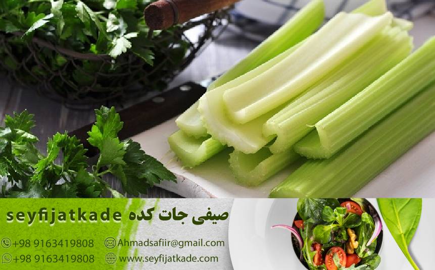 خواص تغذیه‌ای و سلامتی کرفس تازه: آشنایی با مزایای این سبزی اساسی