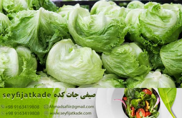 نکات کلیدی در بهبود زنجیره تأمین برای ارتقاء فروش کاهو ایسبرگ صادراتی