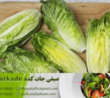 تحلیل رقابت در بازار: چگونه مقایسه قیمت‌ها به انتخاب بهترین کاهو کمک می‌کند؟