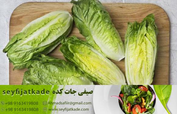 تحلیل رقابت در بازار: چگونه مقایسه قیمت‌ها به انتخاب بهترین کاهو کمک می‌کند؟