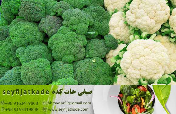 افزایش احساس سیری و کنترل اضطراب غذایی در راستای تسهیل در لاغری