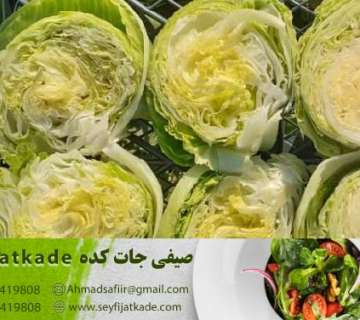 فروش کاهو ایسبرگ صادراتی