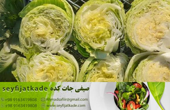فروش کاهو ایسبرگ صادراتی