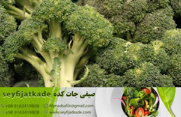 بررسی تأثیر تأمین‌کننده بر قیمت و کیفیت کلم بروکلی: چگونه تأمین‌کنندگان معتبر را انتخاب کنیم؟