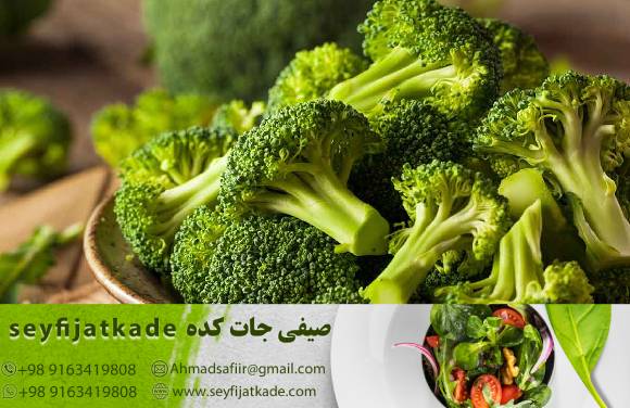 راهنمای خرید: چگونه میتوانید بهترین کلم بروکلی با قیمت مناسب را انتخاب کنید؟