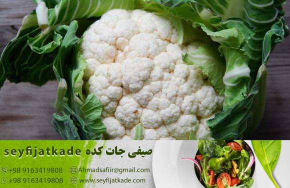 فاکتورهای تعیین‌کننده در قیمت گل کلم سفید به صورت عمده