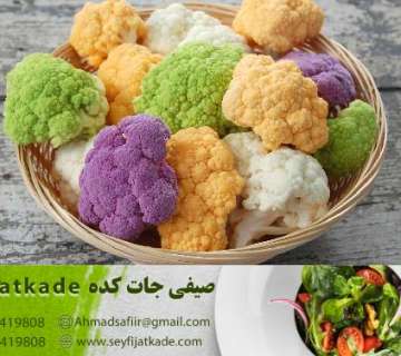 راهکاری مؤثر در کاهش کالری و حفظ سلامت در لاغری