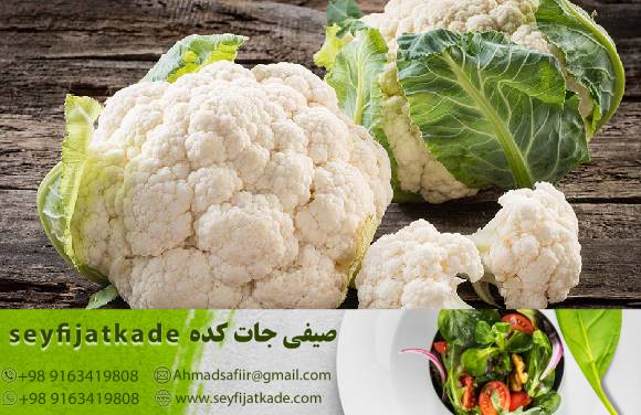 راهکارهای افزایش بهره‌وری در خرید گل کلم سفید به صورت عمده